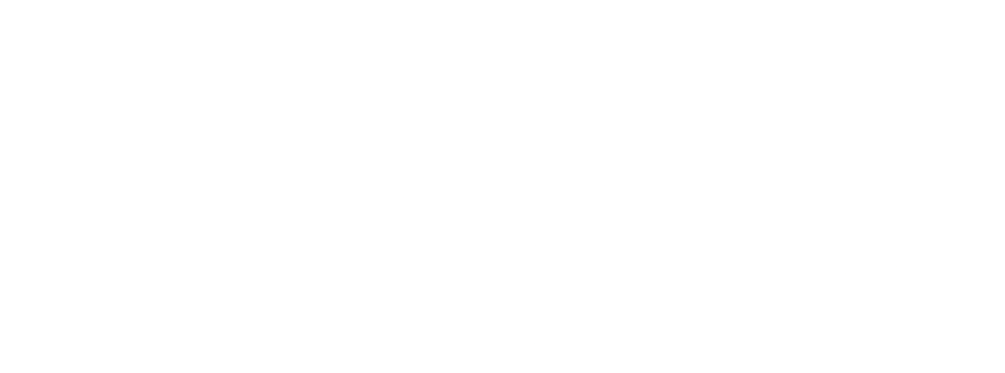CIS footer logo